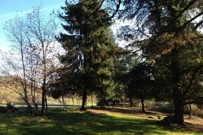 Jardin de l'établissement Gîte calme et spacieux pour amoureux de la nature