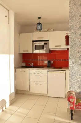 Cuisine ou kitchenette dans l'établissement Studio Front de Mer