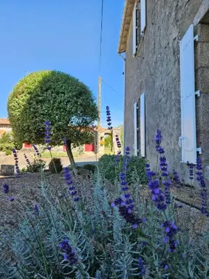 Jardin de l'établissement La Commanderie Grand Gite 10kms 