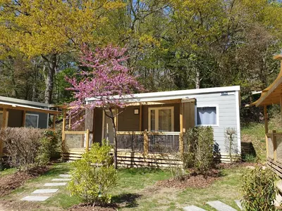 Jardin de l'établissement Nantes Camping Le Petit Port