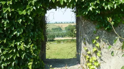Jardin de l'établissement La Boisnière