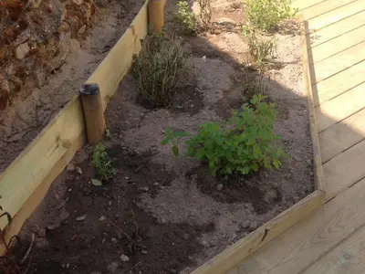 Jardin de l'établissement Maison rénovée proche mer avec terrasse, parking privé et wifi à Barbâtre - FR-1-426-440
