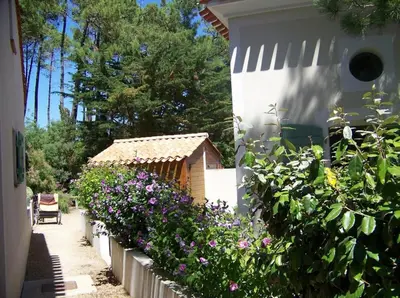 Jardin de l'établissement Maison forêt et piscine, les Mas de Vertmarines