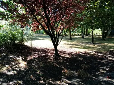 Jardin de l'établissement l'Eden naturiste écureuil
