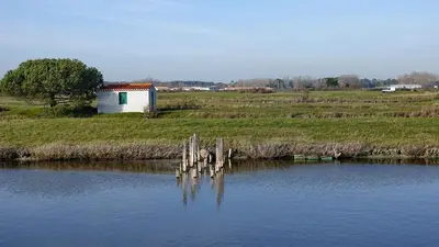 Paysage naturel près de l'appartement