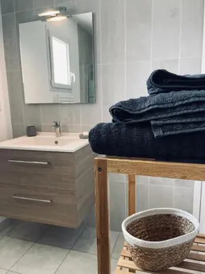 Salle de bains dans l'établissement Maison en pierres au calme près d'Ancenis