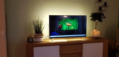 Télévision ou salle de divertissement dans l'établissement Appartement 3 étoiles - 1 chambre Les Becs