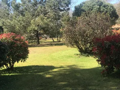 Jardin de l'établissement le 25 l'océan