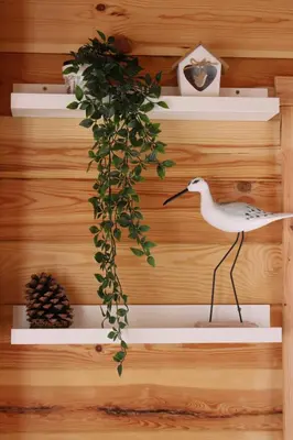 Plan de l'établissement CHALET ESPRIT ZEN et NATURE AVEC SPA