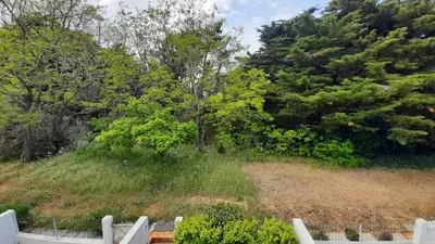 Jardin de l'établissement Studio familial 30m2 Les Goelands - grand balcon vue forêt