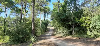 Paysage naturel près de l'appartement