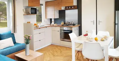 Cuisine ou kitchenette dans l'établissement Mobil-home Dan Dom