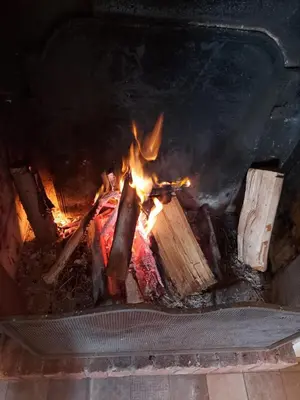 Plan de l'établissement Maison du Lys en Layon