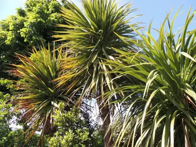 Jardin de l'établissement KERKASA Grande maison en campagne proche Rennes, 2100m²