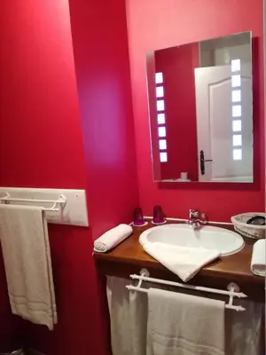 Salle de bains dans l'établissement La Trainelière