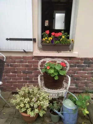 Jardin de l'établissement Les Tournesols