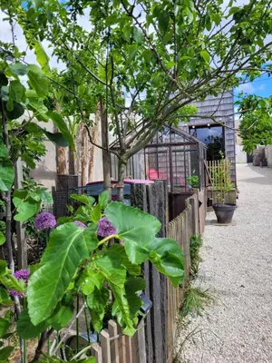 Jardin de l'établissement TINY HOUSE Cosy 1 - Angers Green Lodge