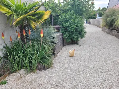Animal ou animaux domestique(s) séjournant avec des clients dans l'établissement Tiny House Cosy 2 - Angers Green Lodge