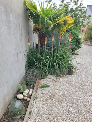 Jardin de l'établissement Tiny House Cosy 2 - Angers Green Lodge