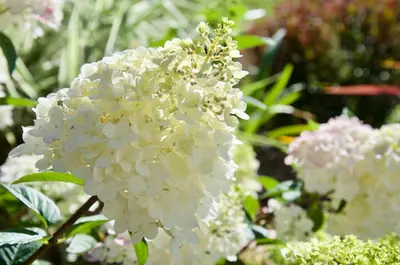 Jardin de l'établissement Gîte Le Champ Libre