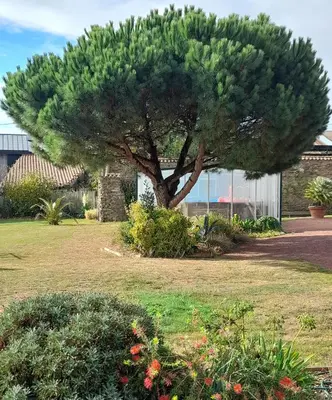 Jardin de l'établissement Le gîte Le Marillet
