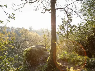 Paysage naturel près de la maison de vacances