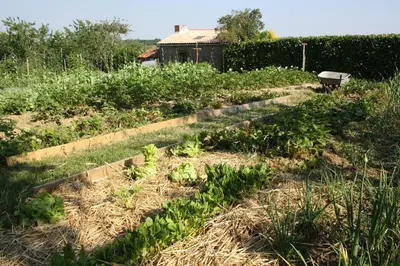 Jardin de l'établissement La Champrenière