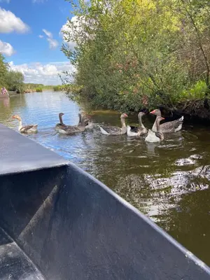 Vue sur la rivière ou le fleuve situé(e) à proximité de la maison de vacances