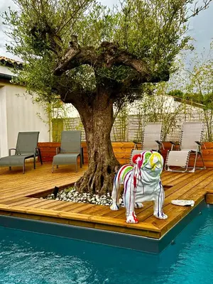 Piscine de l'établissement Lincontournable - Jaccuzi-Piscine-Sauna-Hammam ou située à proximité