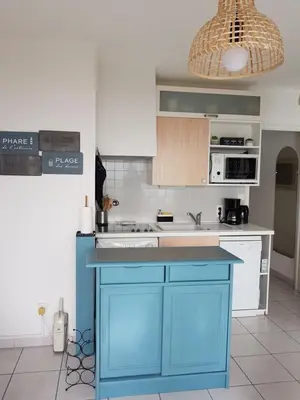 Cuisine ou kitchenette dans l'établissement Appartement T2 vue mer les pieds dans l'eau avec parking privé