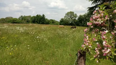 Jardin de l'établissement Le moulin de La Retardière