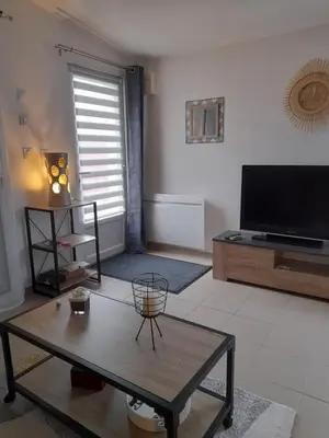 Télévision ou salle de divertissement dans l'établissement La Pépite de l'océan