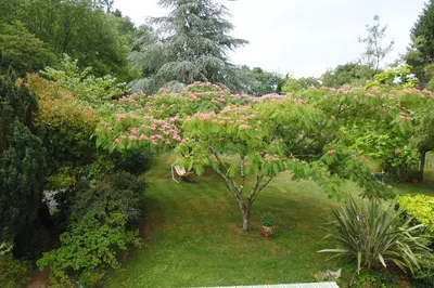 Jardin de l'établissement Le Pré de la Lande