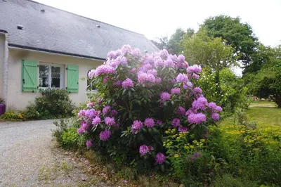 Jardin de l'établissement Le Pré de la Lande