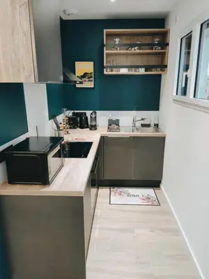 Cuisine ou kitchenette dans l'établissement Charmant T2 , en bord de Sèvre