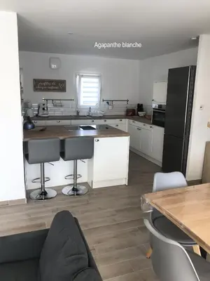 Cuisine ou kitchenette dans l'établissement Les Agapanthes