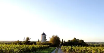 Paysage naturel près de le B&B/chambre d'hôtes