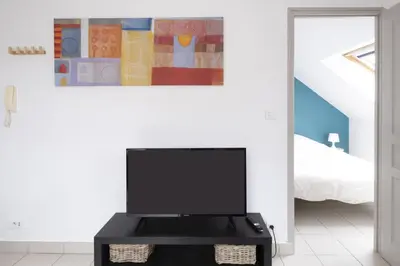 Télévision ou salle de divertissement dans l'établissement gîte de l'artiste Segré ? T2 confort ? centre ? 2 lits