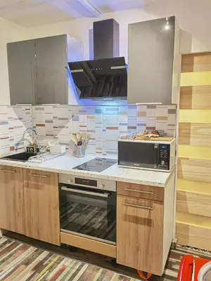 Cuisine ou kitchenette dans l'établissement Cosy T1bis proche CentreVille, Petit Port, Audencia