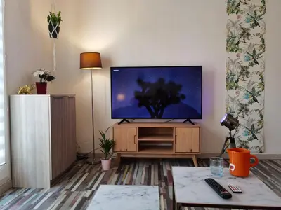 Télévision ou salle de divertissement dans l'établissement Cosy T1bis proche CentreVille, Petit Port, Audencia