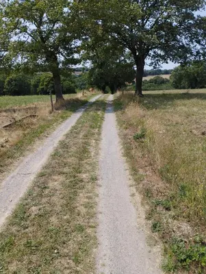 Paysage naturel près de la maison de vacances