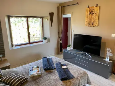 Télévision ou salle de divertissement dans l'établissement Gîte entièrement rénové Bord de Sèvre