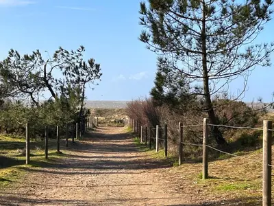 Paysage naturel près de la maison de vacances