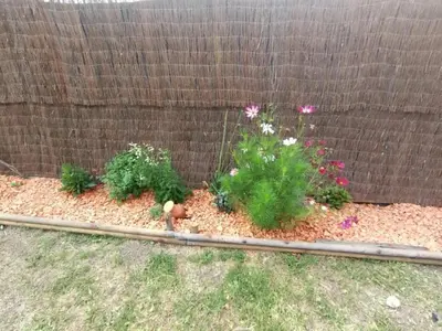 Jardin de l'établissement GITE AMERICAN DINER sur la site THE FARM OUEST capacité 7 personnes