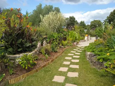 Jardin de l'établissement G1 les oliviers
