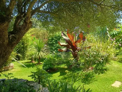 Jardin de l'établissement G1 les oliviers