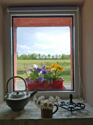 Plan de l'établissement Gîte à la campagne