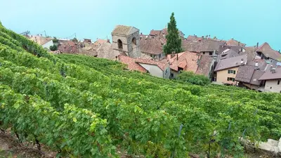 Paysage naturel près de la maison de vacances