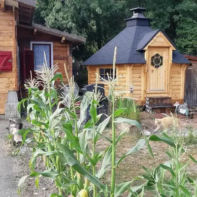 1 Bed Cabin - Sleeps 4 - Pets - Lake - Wifi