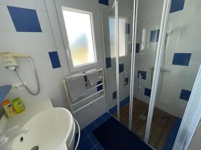 Salle de bains dans l'établissement Maison climatisée, 2 gîtes, 2 chambres, 15 hectares, loisirs, animaux acceptés - FR-1-426-520